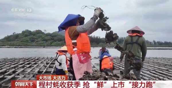 五五策略 大市场 大活力｜“五一”假日餐桌海鲜热度揭秘 生蚝如何抢“鲜”出发？