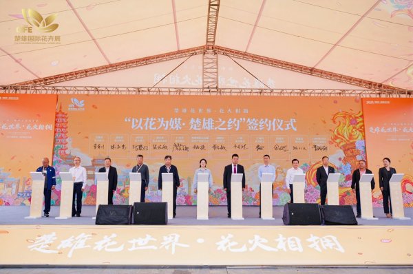 爱配配资 鲜花经济绽放产业新活力 云南楚雄国际花卉展启幕