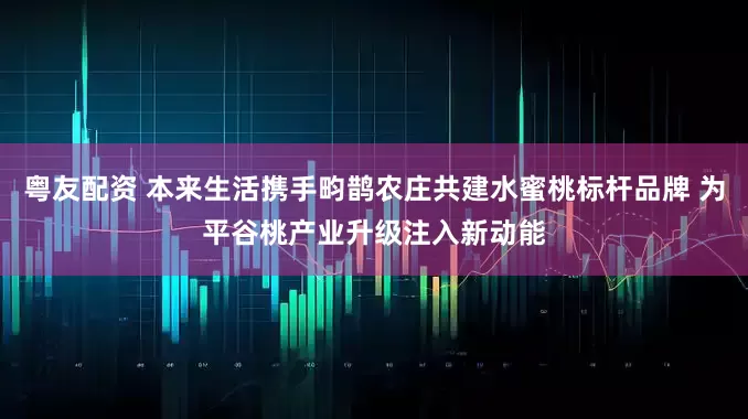 粤友配资 本来生活携手畇鹊农庄共建水蜜桃标杆品牌 为平谷桃产业升级注入新动能