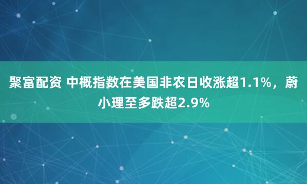 聚富配资 中概指数在美国非农日收涨超1.1%，蔚小理至多跌超2.9%